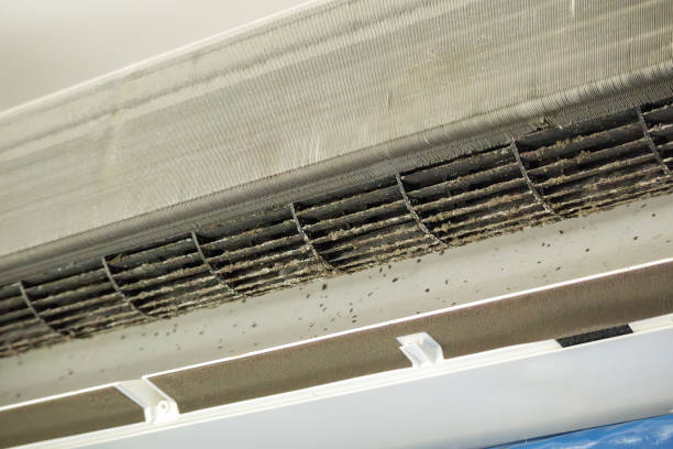 Best Affordable HVAC Duct Cleaning  in Alice, TX